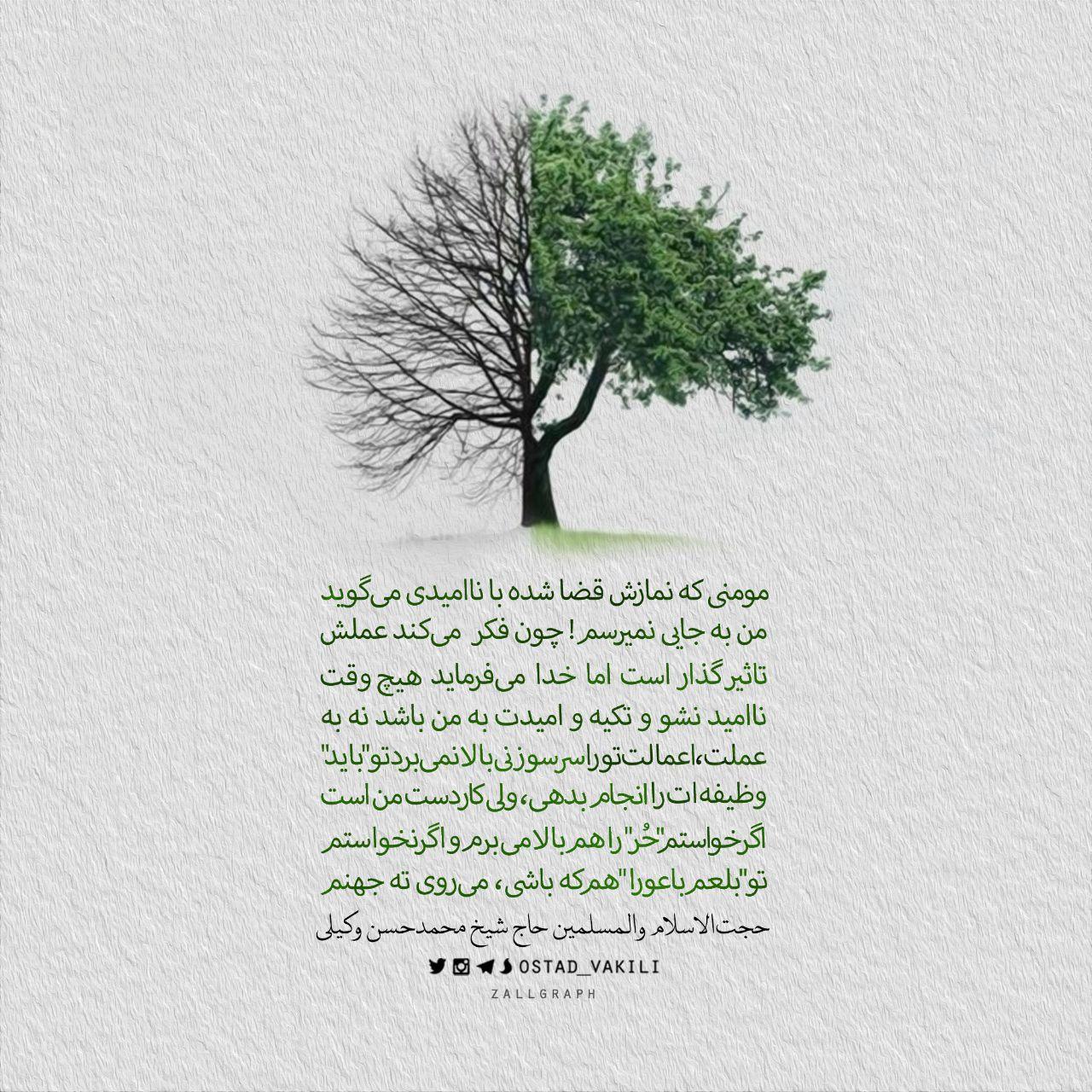 مومنی که نمازش قضا شده با ناامیدی می‌ گوید